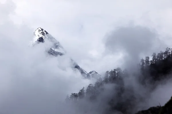 dağlar bulut ve sis kapağında