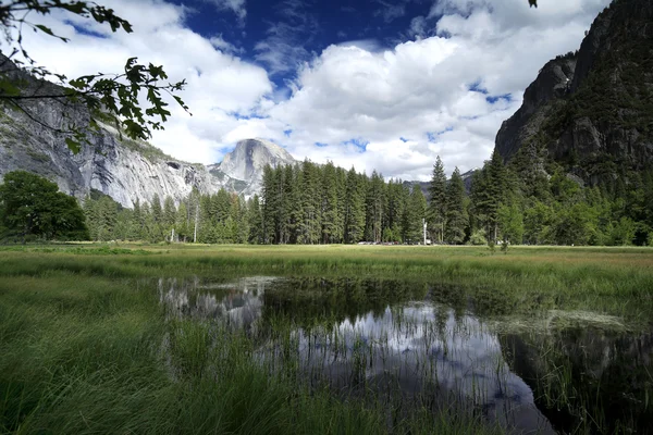 Halvt kuppel, Yosemite nasjonalpark – stockfoto