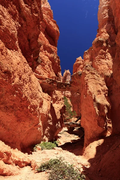 Vackra klippformationer på Bryce Canyon — Stockfoto