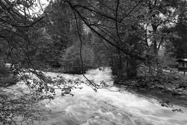 Agua que fluye a través de rocas y bosques — Foto de Stock