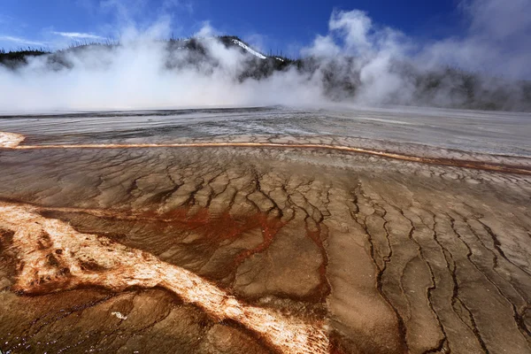 Geyser entouré d'algues, couches bactériennes — Photo