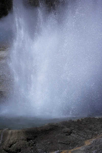 Гейзер в Єллоустонський Національний парк — стокове фото