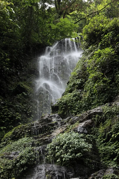 Vodopád v Sikkimu, Indie — Stock fotografie