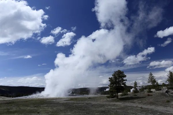 Geyser with lovely surroundings — Stock Photo, Image