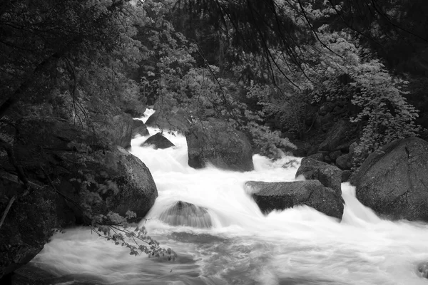 Água que flui através de rochas e florestas — Fotografia de Stock