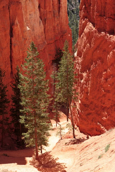 Beautiful rock formations at Bryce Canyon — Stock Photo, Image