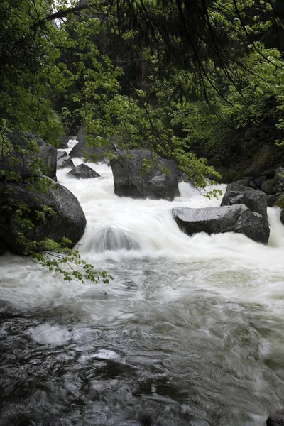 Wasser fließt durch Felsen und Wald — Stockfoto