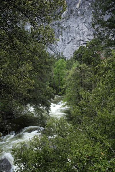 Wasser fließt durch Felsen und Wald — Stockfoto