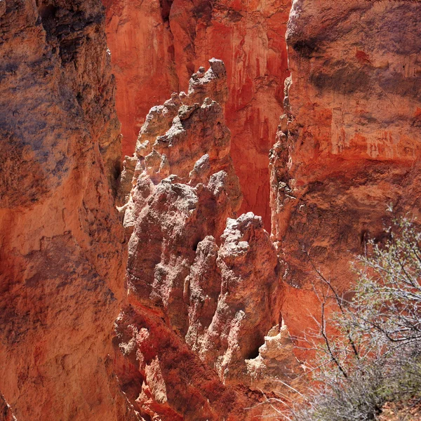 Beautiful rock formations at Bryce Canyon — Stock Photo, Image