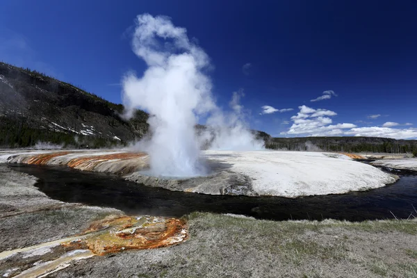 Geyser med vakre omgivelser – stockfoto