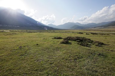 Phobjikha Vadisi, Bhutan, Mayıs 2015 yaklaşık bir görünümünü