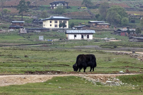 一个视图 Phobjikha 谷，不丹，大约在 2015 年 5 月 — 图库照片