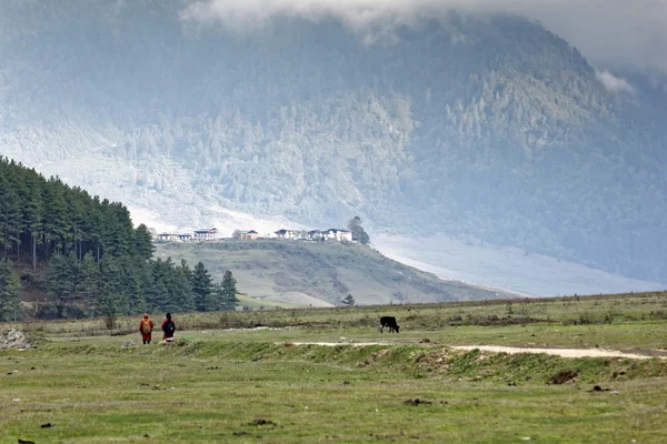 Blick auf das Tal der Phobjikha, Bhutan, ca. Mai 2015 — Stockfoto