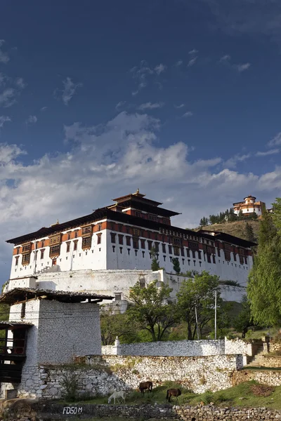 Paro Rinpung Dzong, un monasterio budista y fortaleza de pie en una colina sobre un río Paro Chu cerca de la ciudad Paro, PARO, BHUTAN, MAYO 2015 — Foto de Stock