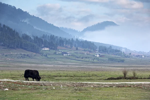 Blick auf das Tal der Phobjikha, Bhutan, ca. Mai 2015 — Stockfoto