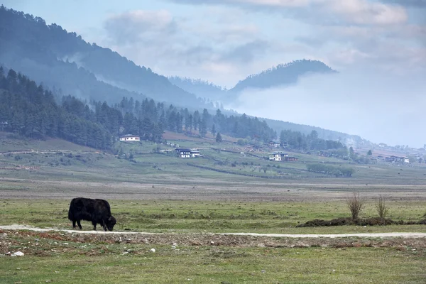 Blick auf das Tal der Phobjikha, Bhutan, ca. Mai 2015 lizenzfreie Stockfotos