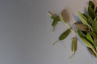 Sage düz mavi arkaplan yatıyordu