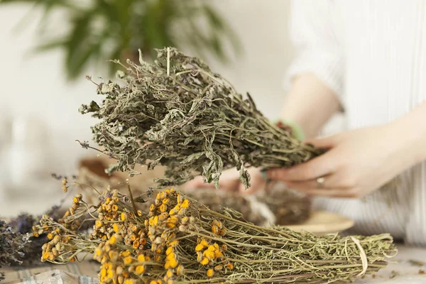  Kadın ellerinde kurutulmuş şifalı bitkiler, tıbbi bitki koleksiyonu..