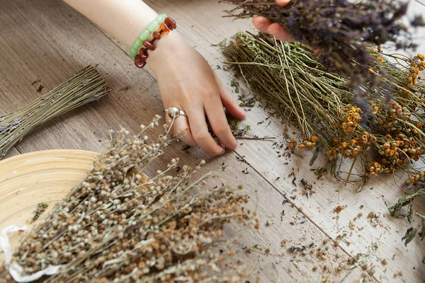  Kadın ellerinde kurutulmuş şifalı bitkiler, tıbbi bitki koleksiyonu..