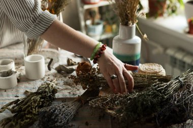 Kadın ellerinde kurutulmuş şifalı bitkiler, tıbbi bitki koleksiyonu..