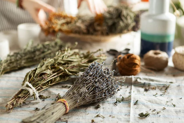 stock image bunch of dried medicinal herbs in female hands, medicinal herbal collection.