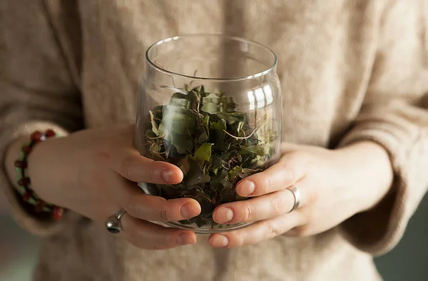ガラス瓶の中に香草を乾燥させ女性の手はハーブの瓶を保持し 薬草コレクション ロイヤリティフリーのストック画像