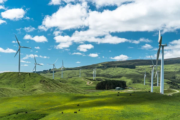 Rüzgâr Çiftliği güzel, hafif bulutlu bir günde otlakla çevrili ve tarlalarla çevrili..