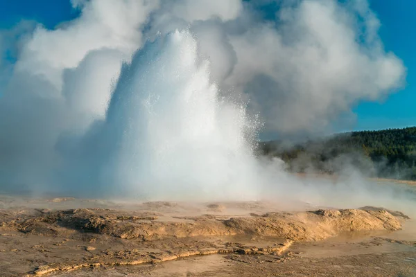 Yellowstone 'da pek de sadık olmayan bir gayzer tekrar patlıyor.