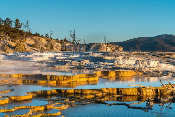 Güzel termal yansıma havuzları sabah güneşinde parlar ve canlı sarı bir ışık saçar.