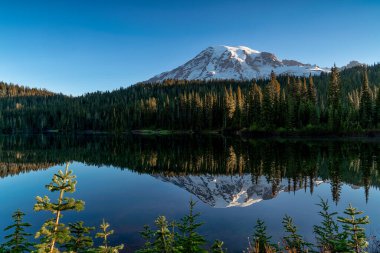 Rainier Dağı sabahın erken saatlerinde aynalı bir gölde yansımasını gösterir..