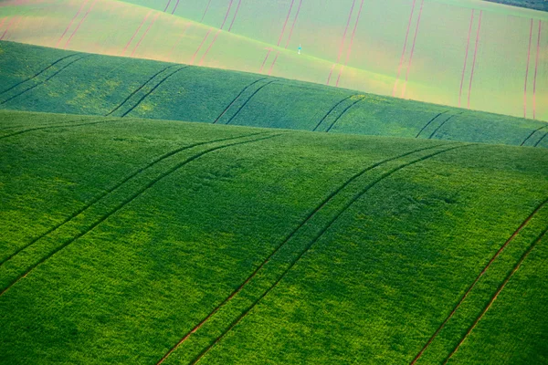 Groene lente heuvels. Akkerbouw landt in Tsjechische Moravië — Stockfoto