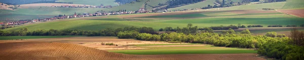Зелених весняних пагорбах у Словаччині. Сонячний квітня в маленькому містечку — стокове фото