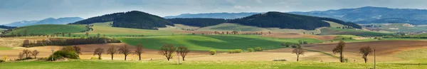 Verdi colline primaverili in Slovacchia. Aprile panorama assolato della campagna — Foto Stock