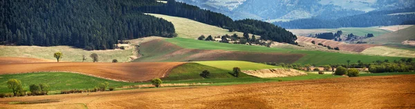 Verdi colline primaverili in Slovacchia. Aprile panorama assolato della campagna — Foto Stock