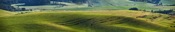 Verdi colline primaverili in Slovacchia. Aprile panorama assolato della campagna — Foto Stock