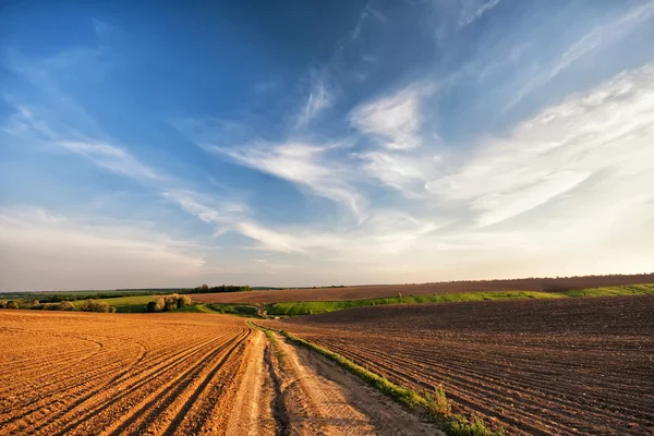 Country road in Spring arable fields — Stock Photo, Image