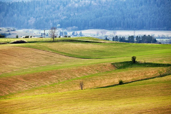 Jarní zelené kopce na Slovensku. Dubna slunnou krajinou — Stock fotografie