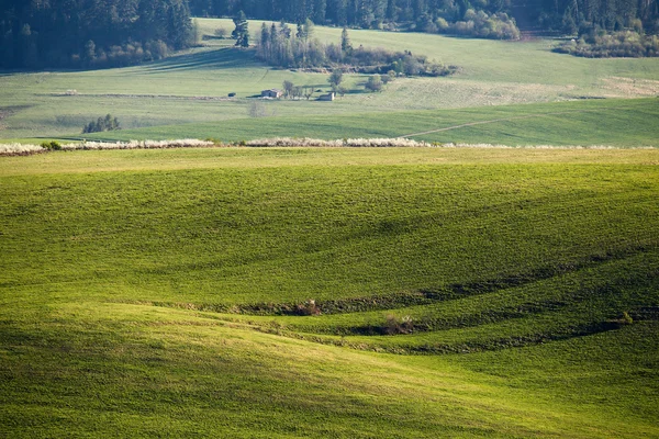 Colinas verdes na Eslováquia. Abril ensolarado campo — Fotografia de Stock