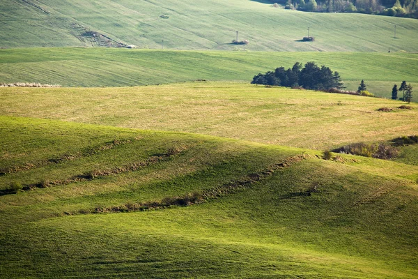 Verdi colline primaverili in Slovacchia. Aprile campagna soleggiata — Foto Stock