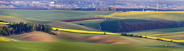 Verdi colline primaverili. Terreni coltivabili in Moravia Ceca — Foto Stock