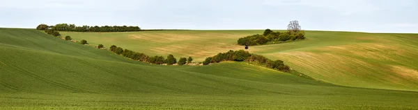 Caixa de caça em Green Spring Hills. Terras aráveis em Morávia Tcheca — Fotografia de Stock