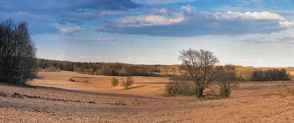 Słoneczny wiosna pól w godzinach wieczornych — Zdjęcie stockowe