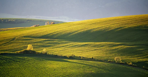 Colinas verdes de primavera da Eslováquia. Maio ensolarado campo — Fotografia de Stock