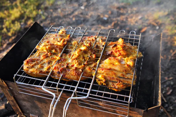 Chicken breast grilled on a coals — Stock Photo, Image