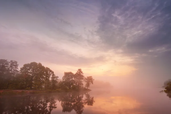 Misty manhã no lago . — Fotografia de Stock