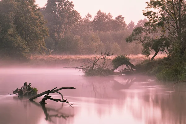 Rio nebuloso de manhã — Fotografia de Stock