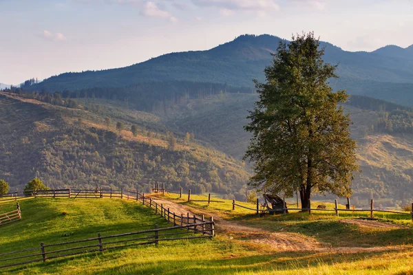 September ländliche Szene in den Bergen. authentisches Dorf und Zaun — Stockfoto