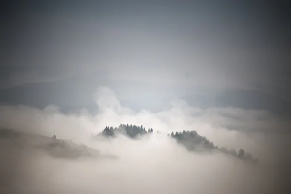 Herbstlich neblige Bergszene. Herbstregen und Nebel — Stockfoto