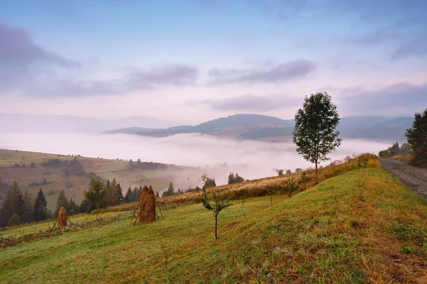 Herbst September nebliger Morgen in den Bergen — Stockfoto