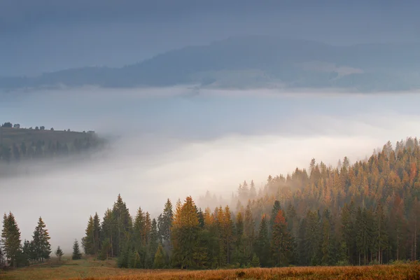 Autumn September foggy morning in mountains — Stock Photo, Image
